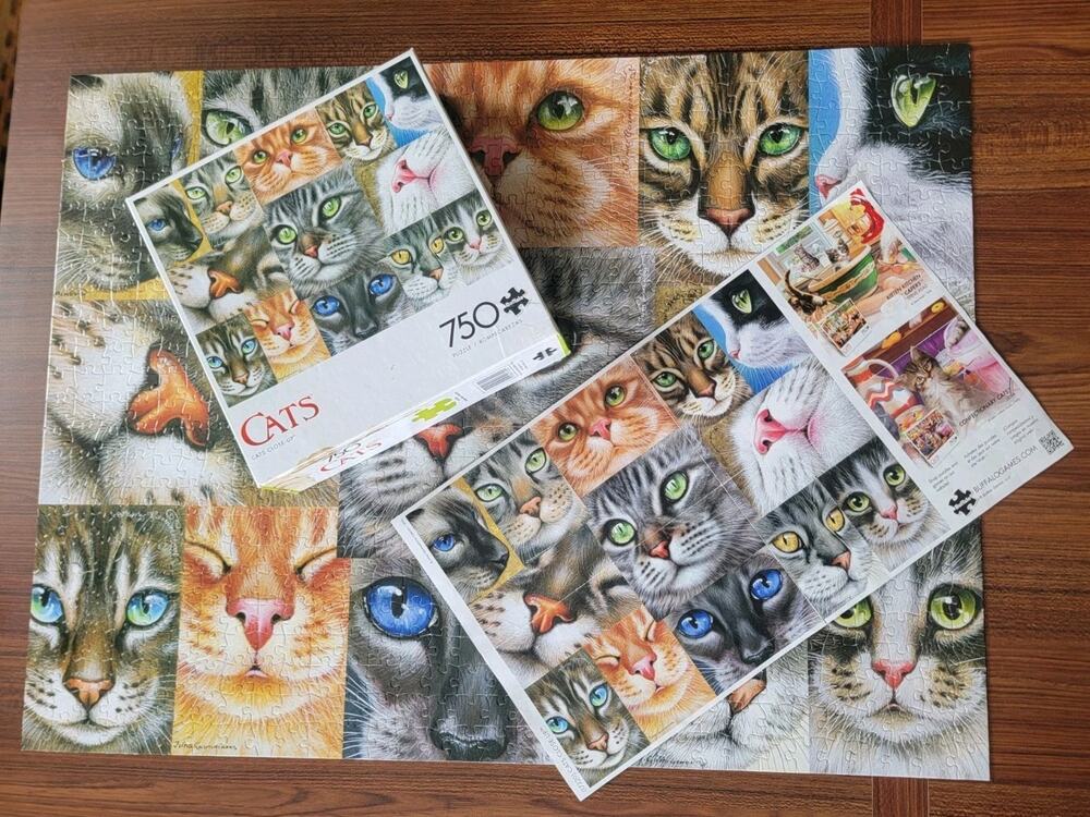 Cats Close-up 750 Pc Jigsaw Puzzle Complete READ